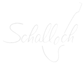 Schalloch Musikhandel GmbH in Hamburg Logo Fußzeile 01